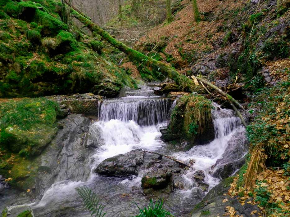 Añarbe ibaiaren goi-ibarra (Artikutzan), Red Natura 2000-k babestutako inguruan dago kokatua.