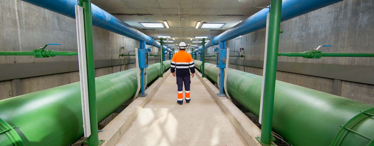 Banaketa-hodiak